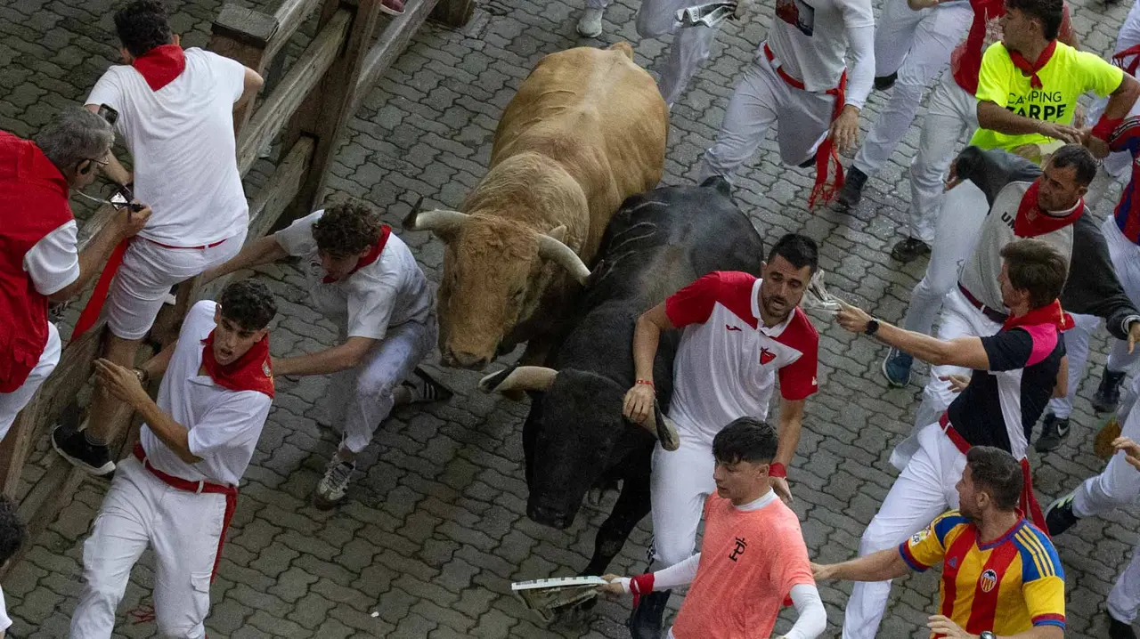 Quinto encierro de San Fermín con toros de Jandilla en bajada del callejón. Maite H. Mateo..-17