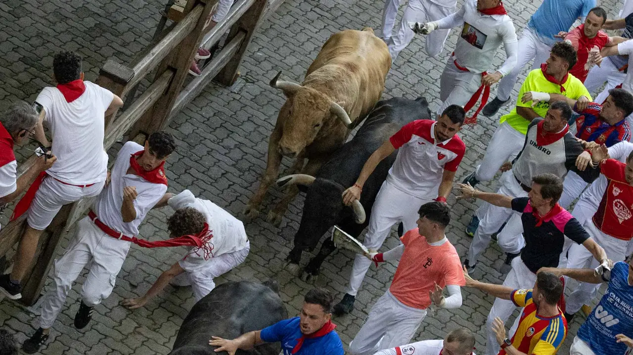 Quinto encierro de San Fermín con toros de Jandilla en bajada del callejón. Maite H. Mateo..-21