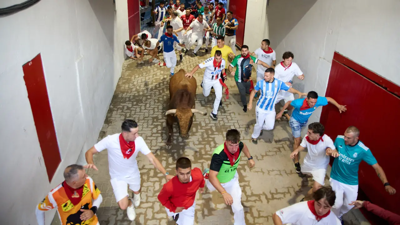 Quinto encierro de San Fermín 2025 con toros de la ganadería de Jandilla en el tramo del callejón y la entrada a la Plaza de Toros. IÑIGO ALZUGARAY
