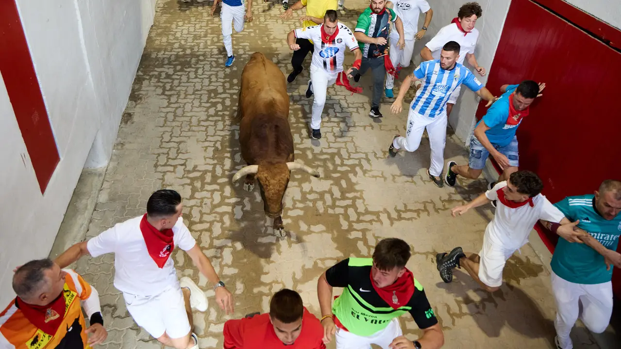 Quinto encierro de San Fermín 2025 con toros de la ganadería de Jandilla en el tramo del callejón y la entrada a la Plaza de Toros. IÑIGO ALZUGARAY
