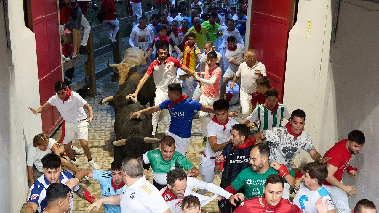 Quinto encierro de San Fermín 2025 con toros de la ganadería de Jandilla en el tramo del callejón y la entrada a la Plaza de Toros. IÑIGO ALZUGARAY