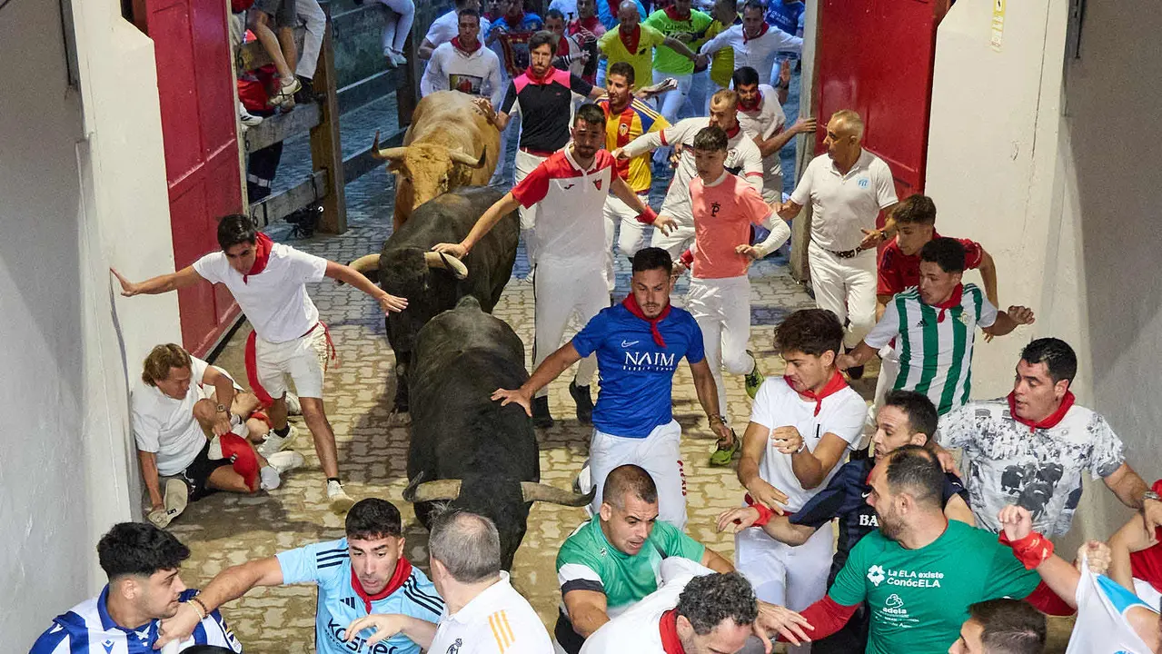 Quinto encierro de San Fermín 2025 con toros de la ganadería de Jandilla en el tramo del callejón y la entrada a la Plaza de Toros. IÑIGO ALZUGARAY
