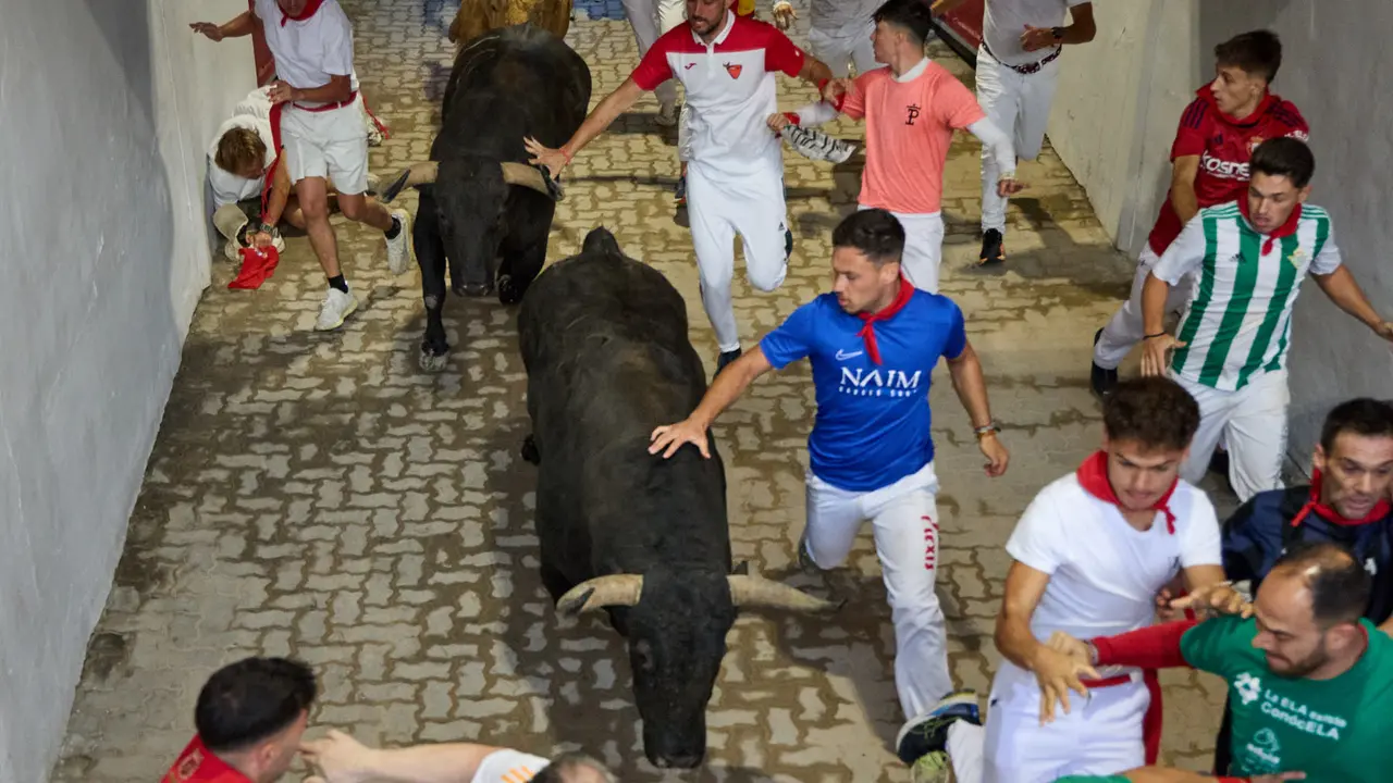 Quinto encierro de San Fermín 2025 con toros de la ganadería de Jandilla en el tramo del callejón y la entrada a la Plaza de Toros. IÑIGO ALZUGARAY
