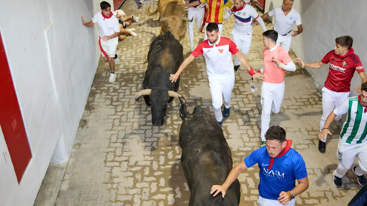 Quinto encierro de San Fermín 2025 con toros de la ganadería de Jandilla en el tramo del callejón y la entrada a la Plaza de Toros. IÑIGO ALZUGARAY