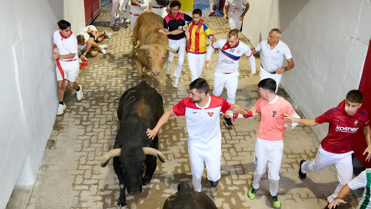 Quinto encierro de San Fermín 2025 con toros de la ganadería de Jandilla en el tramo del callejón y la entrada a la Plaza de Toros. IÑIGO ALZUGARAY