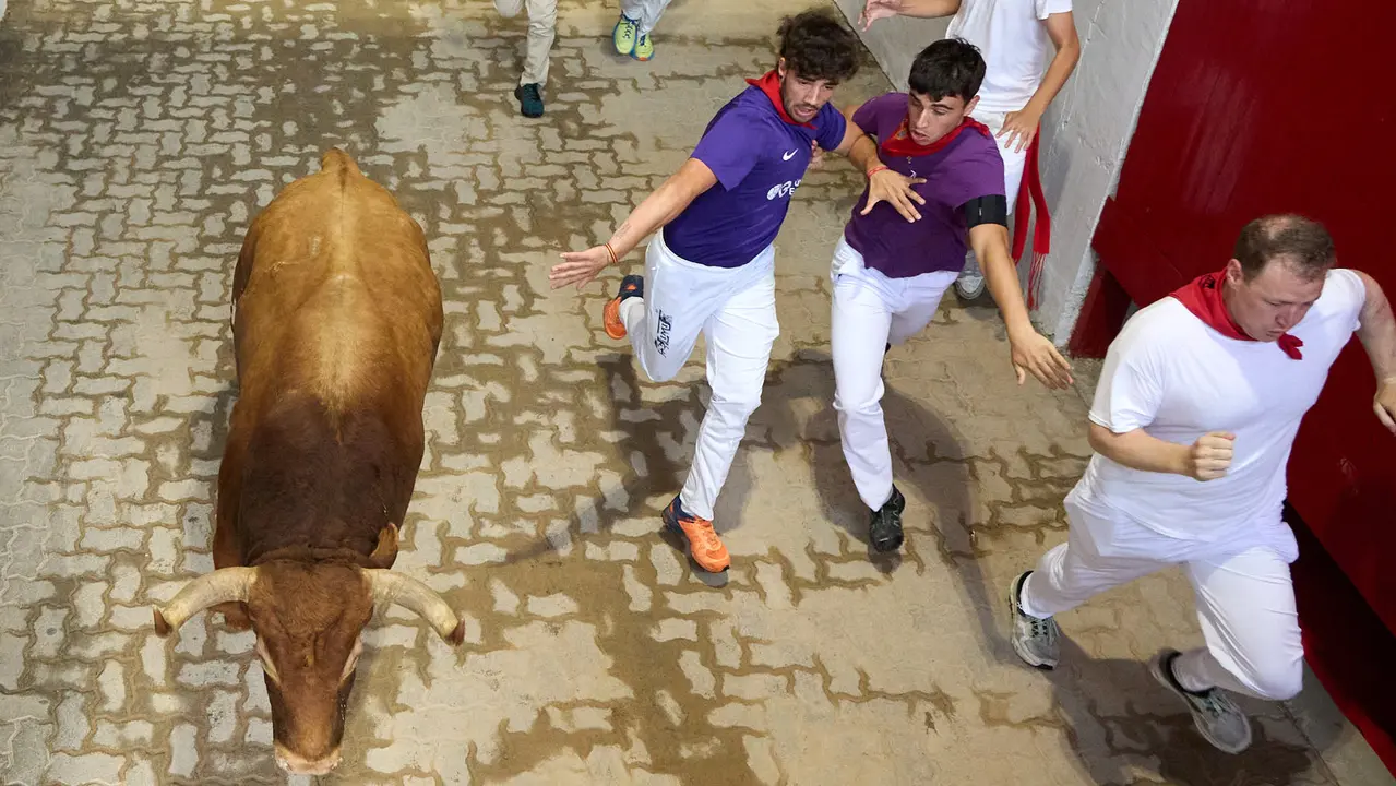 Quinto encierro de San Fermín 2025 con toros de la ganadería de Jandilla en el tramo del callejón y la entrada a la Plaza de Toros. IÑIGO ALZUGARAY
