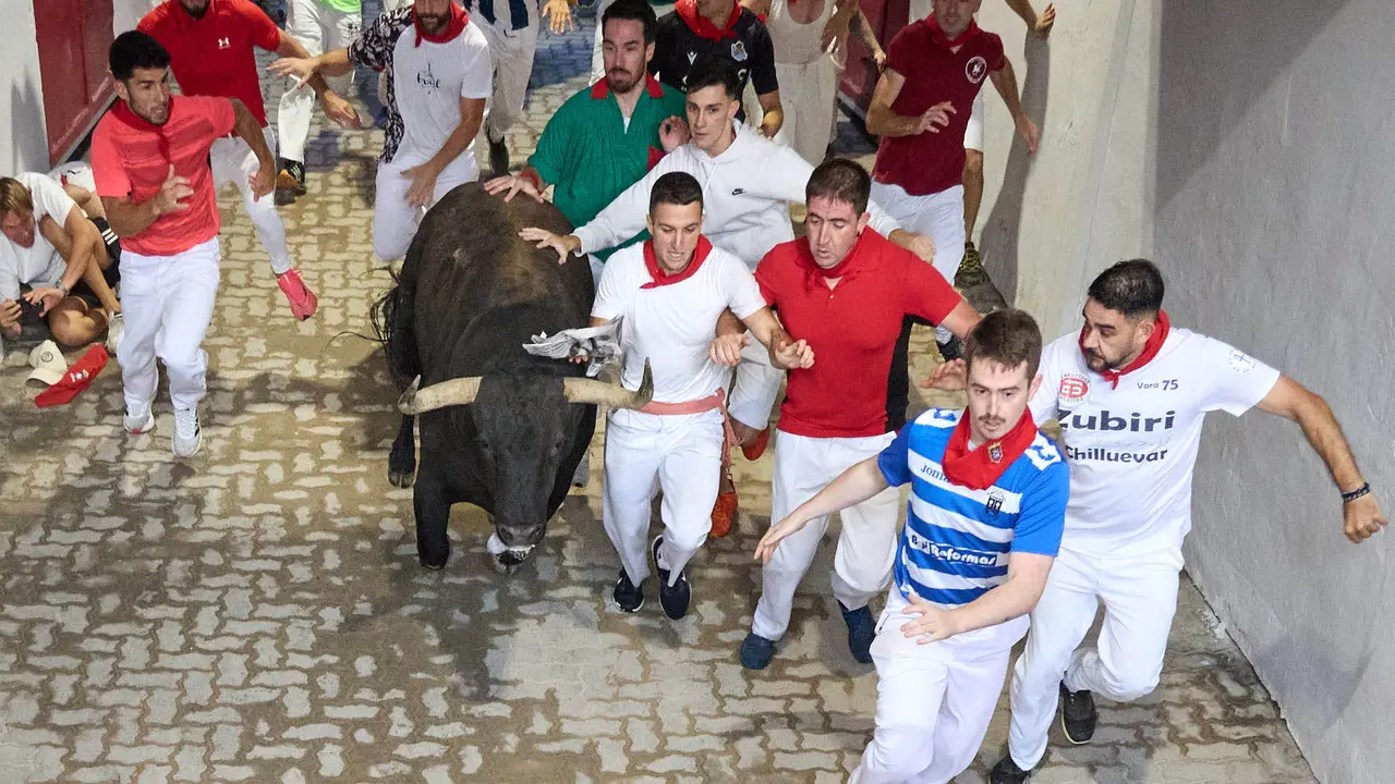 Quinto encierro de San Fermín 2025 con toros de la ganadería de Jandilla en el tramo del callejón y la entrada a la Plaza de Toros. IÑIGO ALZUGARAY