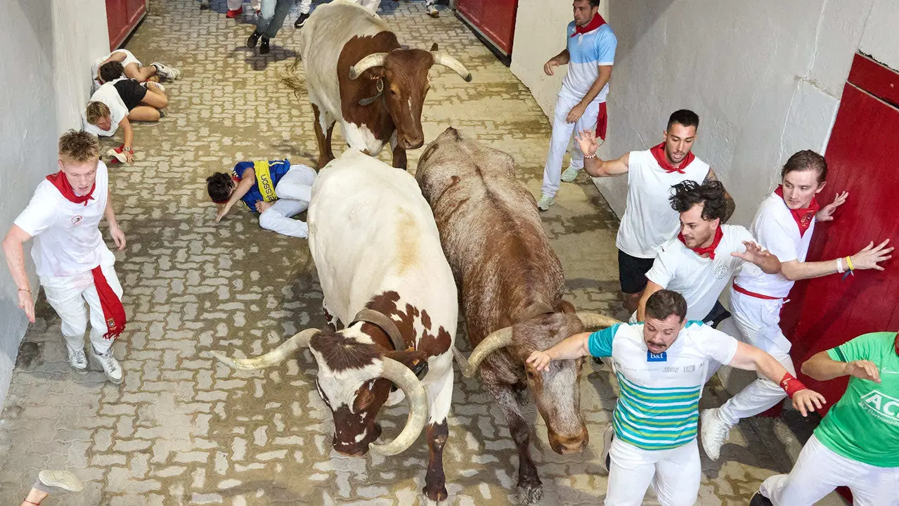 Quinto encierro de San Fermín 2025 con toros de la ganadería de Jandilla en el tramo del callejón y la entrada a la Plaza de Toros. IÑIGO ALZUGARAY