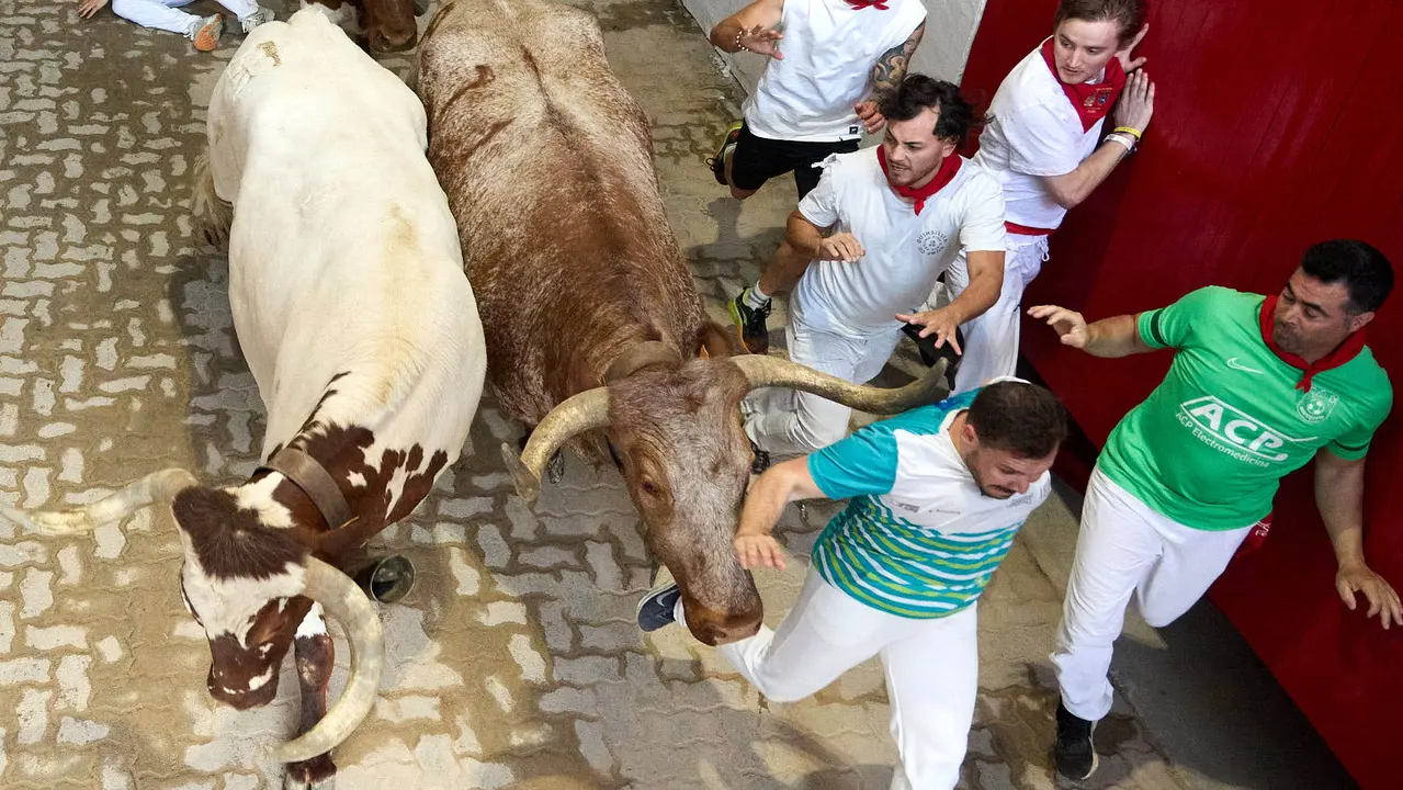 Quinto encierro de San Fermín 2025 con toros de la ganadería de Jandilla en el tramo del callejón y la entrada a la Plaza de Toros. IÑIGO ALZUGARAY