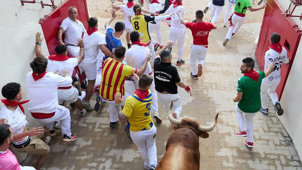 Quinto encierro de San Fermín 2025 con toros de la ganadería de Jandilla en el tramo del callejón y la entrada a la Plaza de Toros. IÑIGO ALZUGARAY