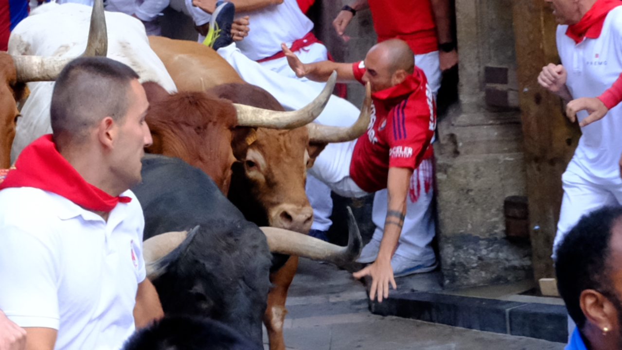 Quinto encierro de San ermín con toros de la ganadería de Jandilla. KUKUXUMUSU / JUAN IGNACIO DELGADO