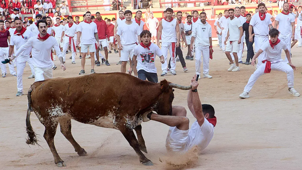 Quinto encierro de San Fermín 2025 con toros de la ganadería de Jandilla en el tramo del callejón y la entrada a la Plaza de Toros. IÑIGO ALZUGARAY