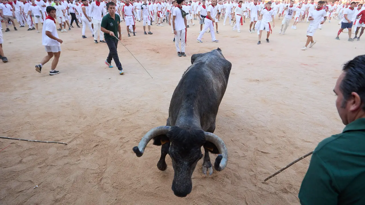 Quinto encierro de San Fermín 2025 con toros de la ganadería de Jandilla en el tramo del callejón y la entrada a la Plaza de Toros. IÑIGO ALZUGARAY