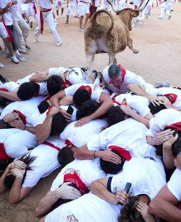 Quinto encierro de San Fermín 2025 con toros de la ganadería de Jandilla en el tramo del callejón y la entrada a la Plaza de Toros. IÑIGO ALZUGARAY