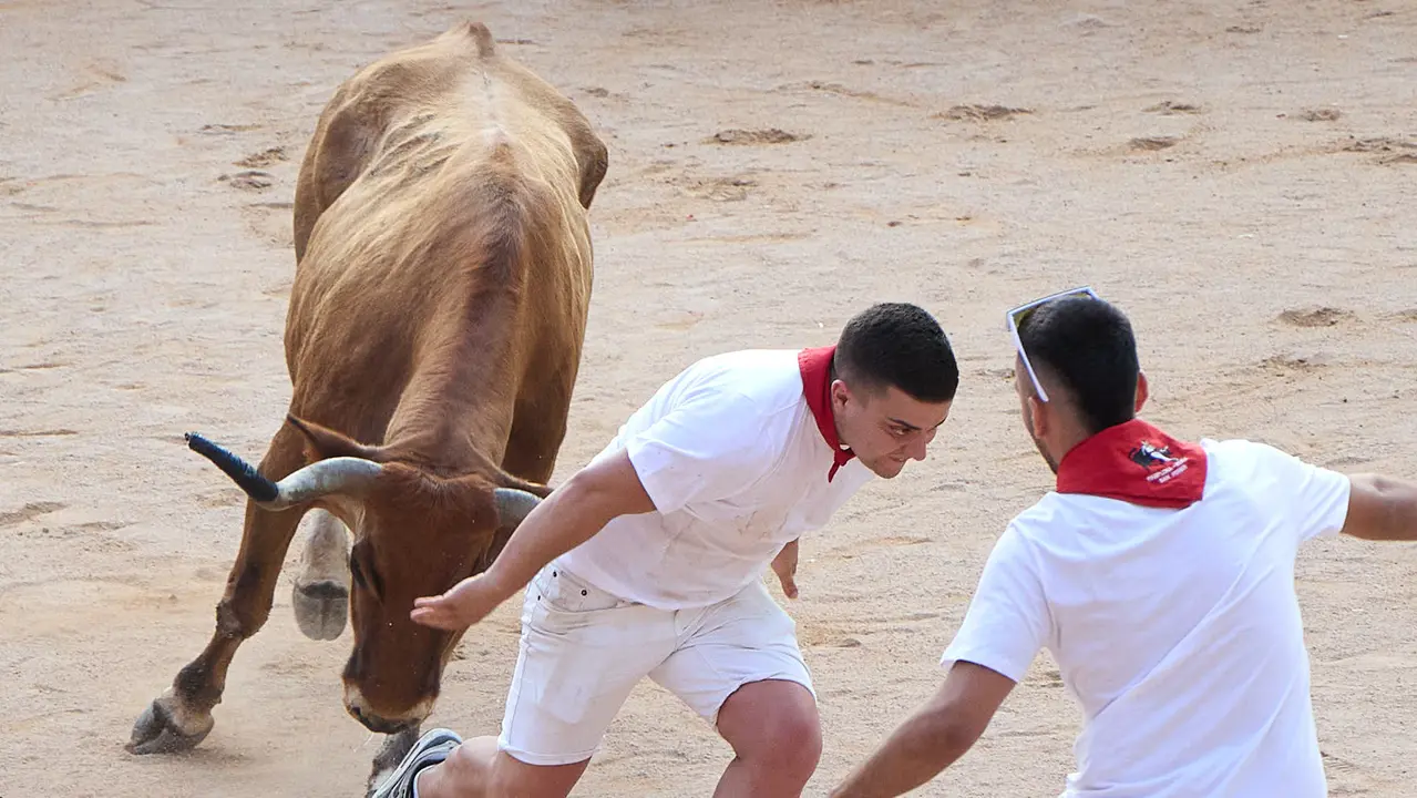 Quinto encierro de San Fermín 2025 con toros de la ganadería de Jandilla en el tramo del callejón y la entrada a la Plaza de Toros. IÑIGO ALZUGARAY
