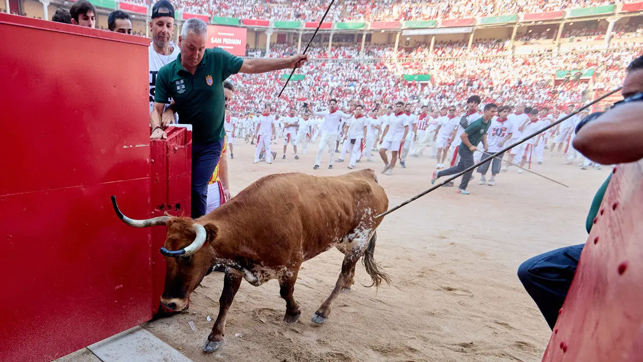Quinto encierro de San Fermín 2025 con toros de la ganadería de Jandilla en el tramo del callejón y la entrada a la Plaza de Toros. IÑIGO ALZUGARAY