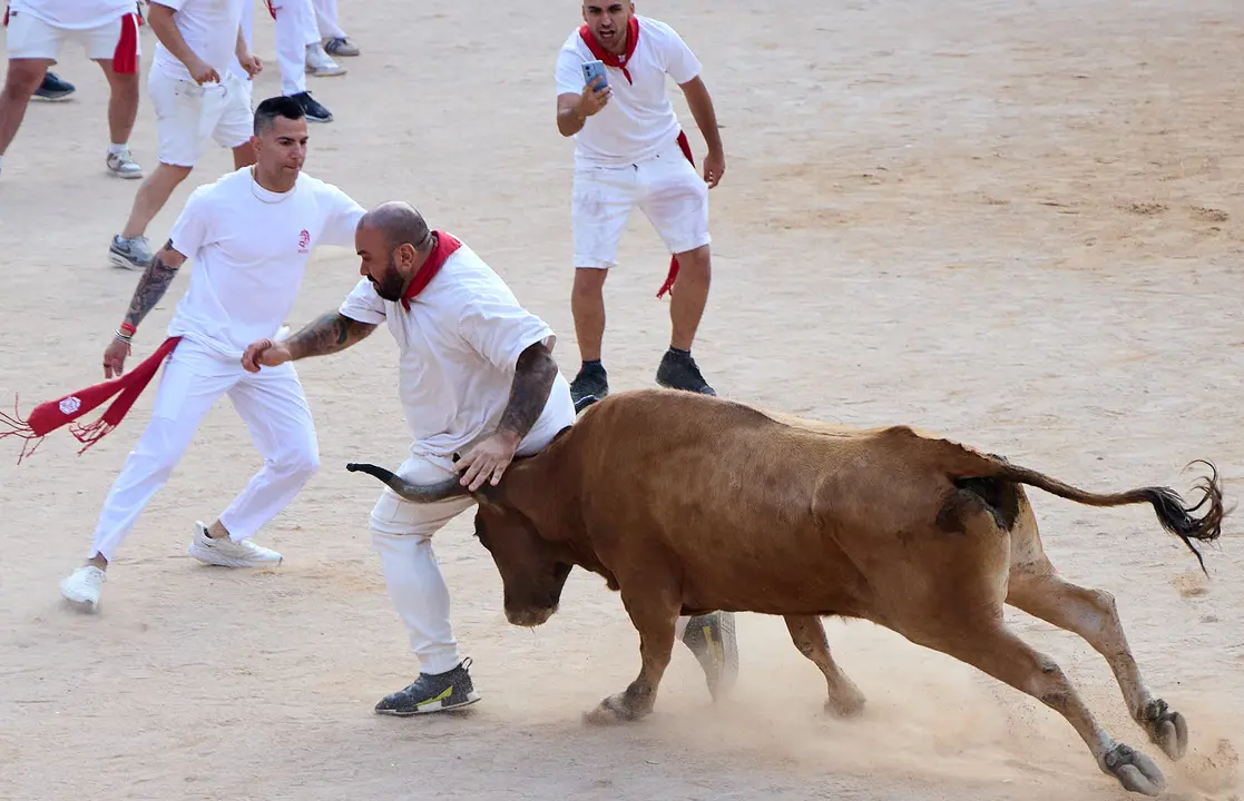 Quinto encierro de San Fermín 2025 con toros de la ganadería de Jandilla en el tramo del callejón y la entrada a la Plaza de Toros. IÑIGO ALZUGARAY