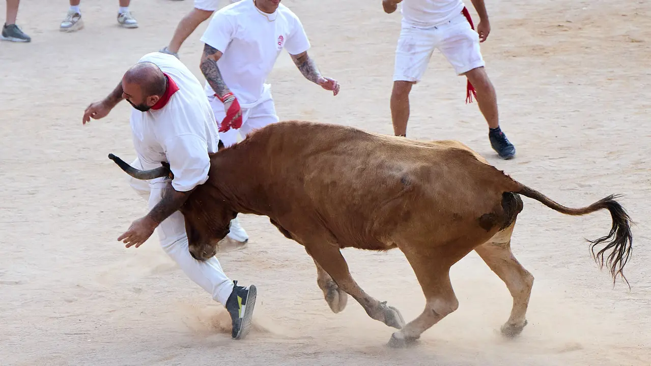 Quinto encierro de San Fermín 2025 con toros de la ganadería de Jandilla en el tramo del callejón y la entrada a la Plaza de Toros. IÑIGO ALZUGARAY