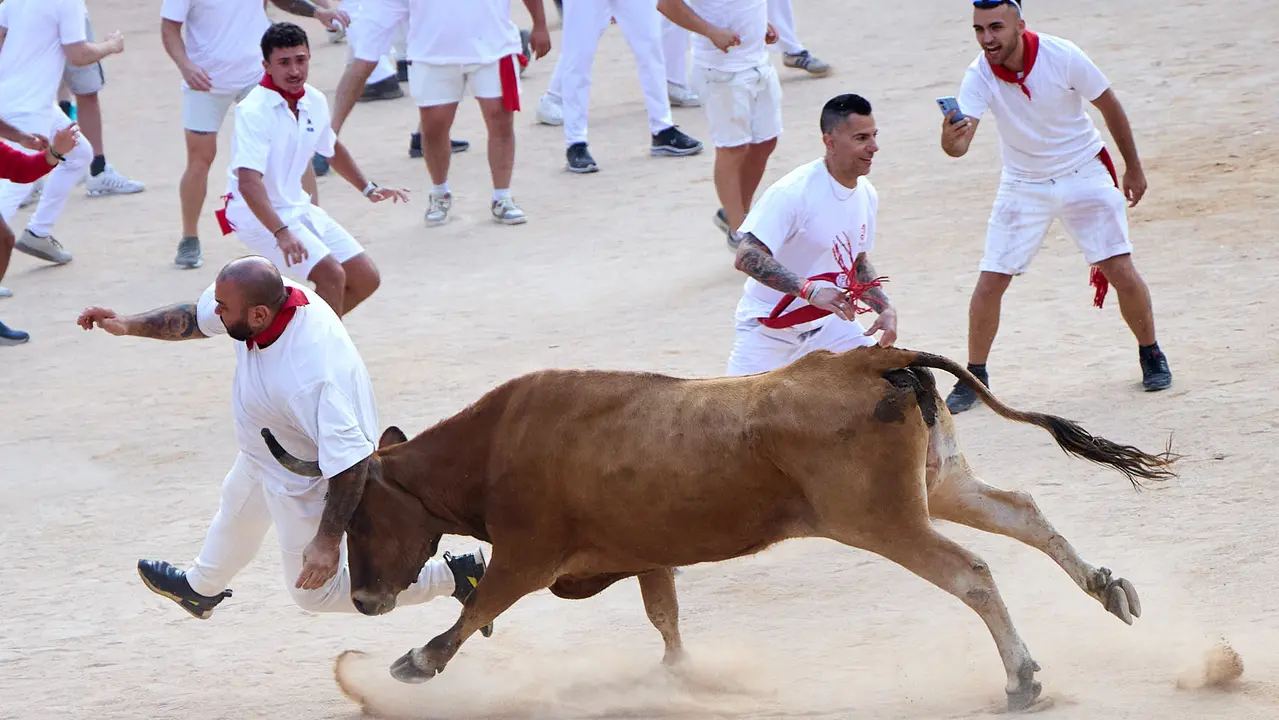 Quinto encierro de San Fermín 2025 con toros de la ganadería de Jandilla en el tramo del callejón y la entrada a la Plaza de Toros. IÑIGO ALZUGARAY