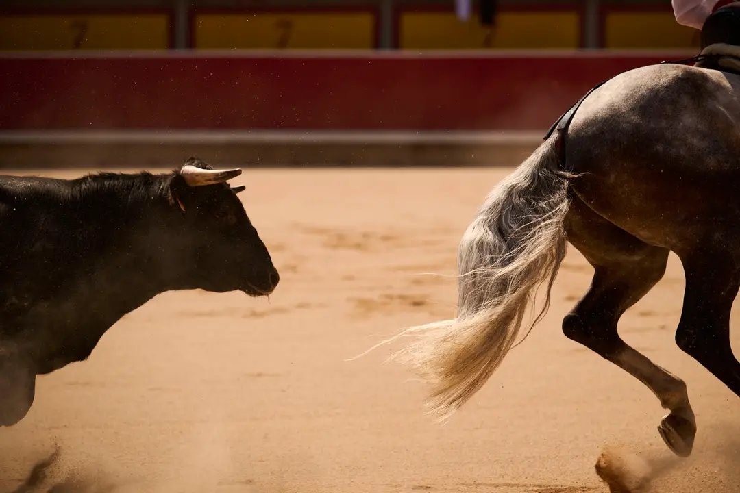 Mañana de Toros en Familia con la exhibición de rejoneo a cargo de Pablo Donat y exhibición de los recortadores Iker Monreal y Sergio Valle durante San Fermín 2025. PABLO LASAOSA