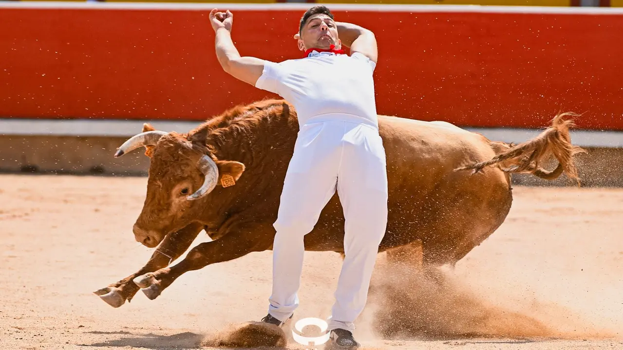 Mañana de Toros en Familia con la exhibición de rejoneo a cargo de Pablo Donat y exhibición de los recortadores Iker Monreal y Sergio Valle durante San Fermín 2025.