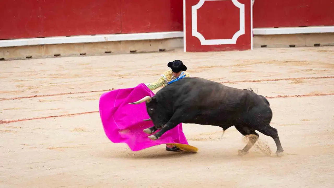 Juan Ortega en la quinta corrida de la Feria del Toro de San Fermín. MAITE H. MATEO