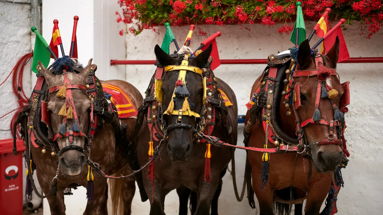 Quinta corrida de toros de la Feria de San Fermín con toros de Jandilla para Juan Ortega, Andrés Roca Rey y Pablo Aguado. IRANZU LARRASOAÑA