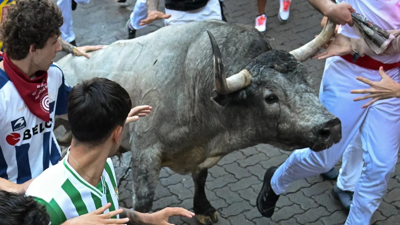 Sexto encierro de San Fermín 2025 el día 12 de julio con toros de José Escolar en Telefónica. EFE - DANIEL FERNÁNDEZ (2)