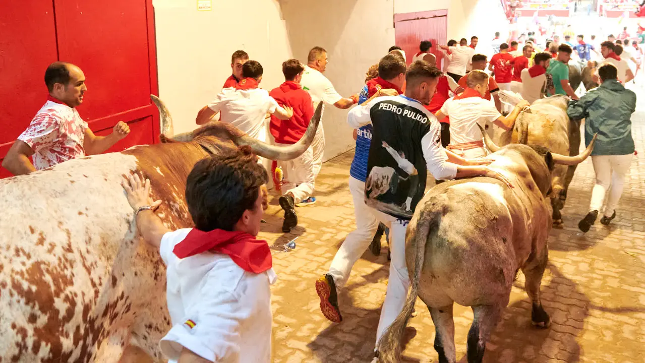 Sexto encierro de San Fermín 2025 con toros de José Escolar en la bajada del callejón en Telefónica. IRANZU LARRASOAÑA