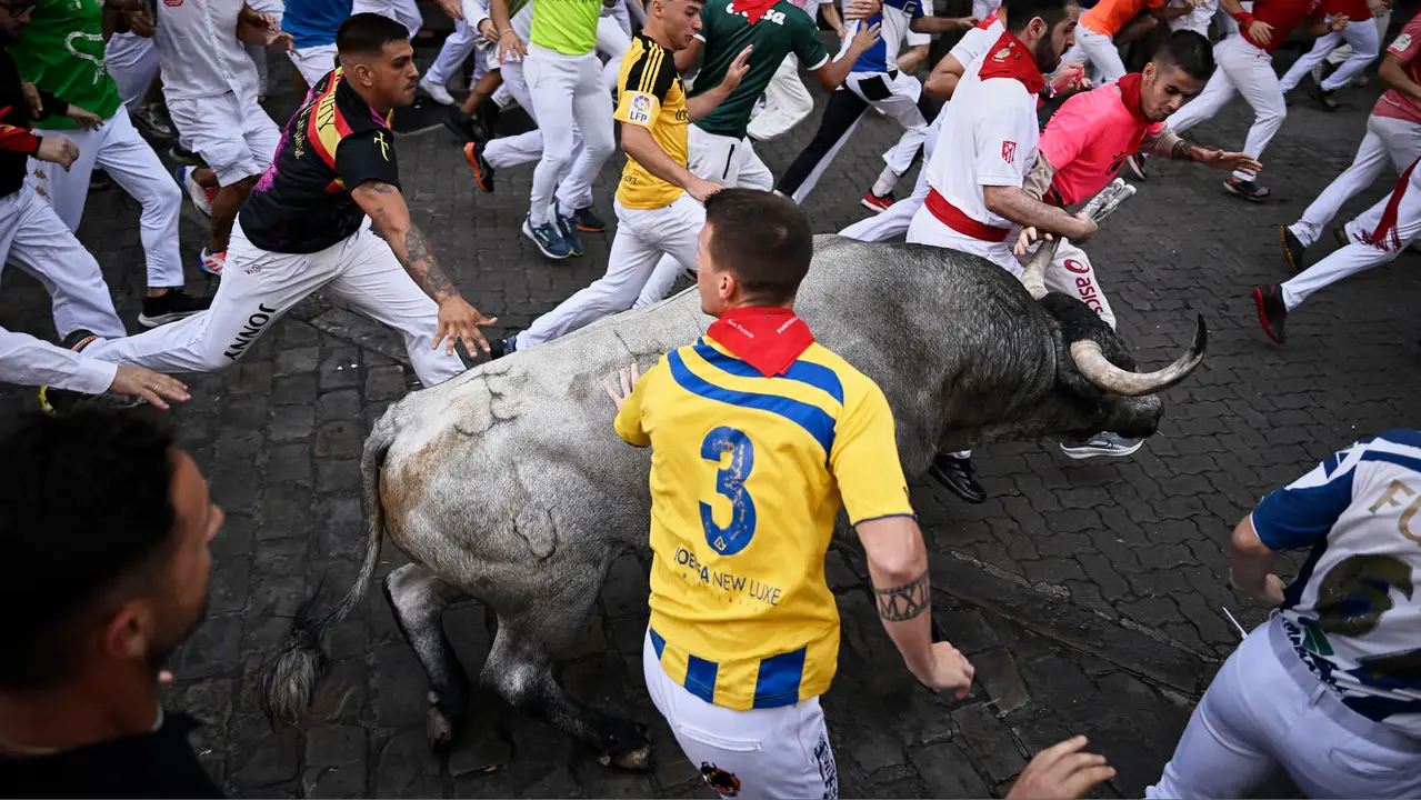 Sexto encierro de San Fermín 2025 con toros de José Escolar en la curva de Telefónica. PABLO LASAOSA