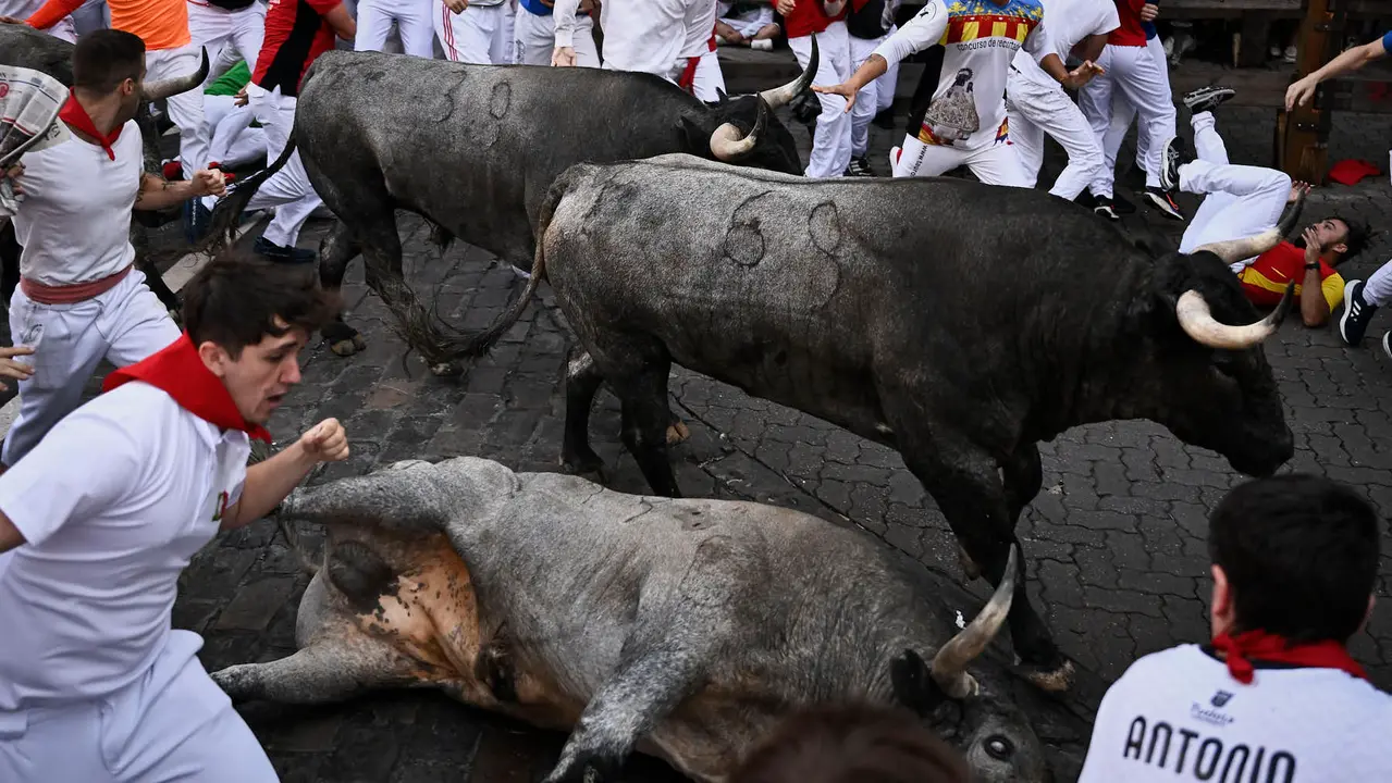Sexto encierro de San Fermín 2025 con toros de José Escolar en la curva de Telefónica. PABLO LASAOSA