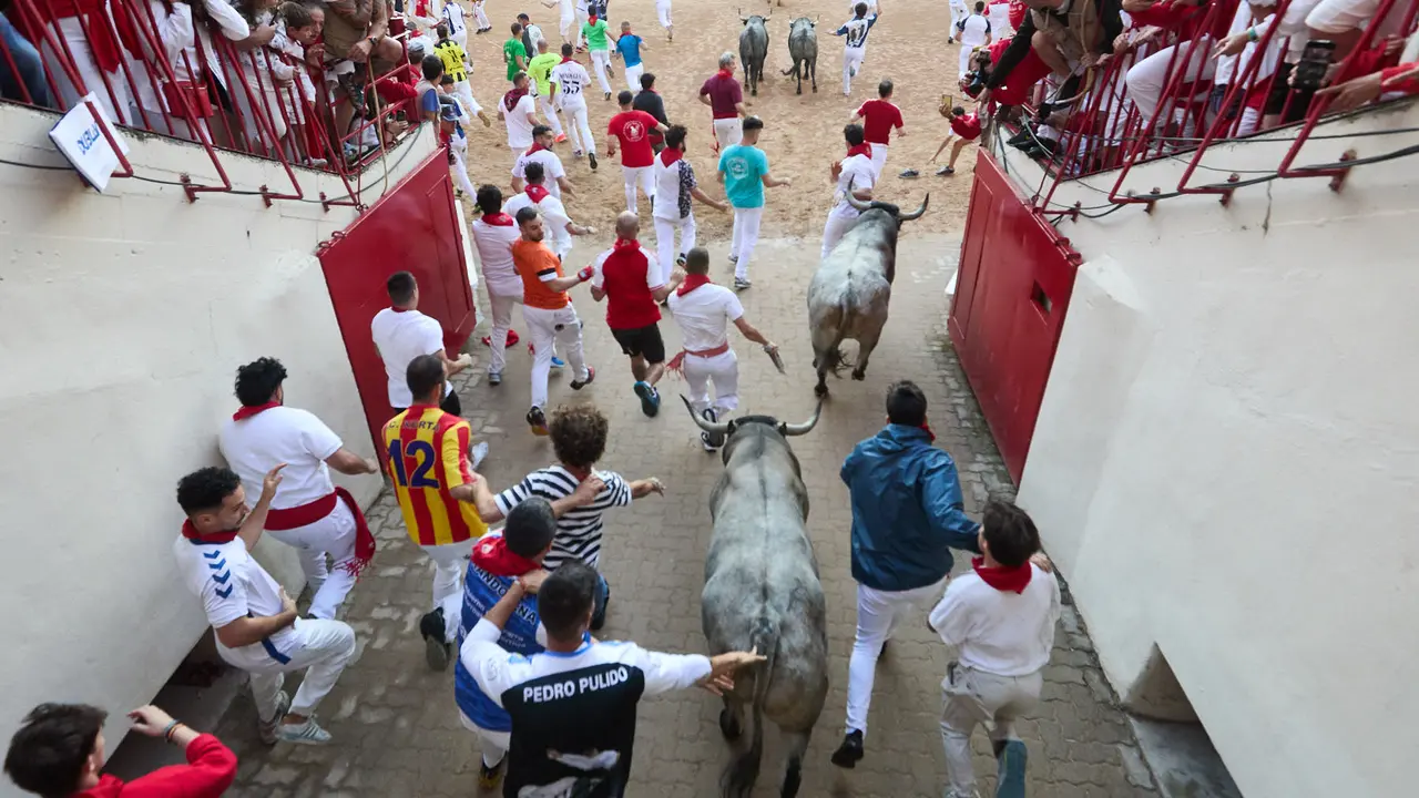Sexto encierro de San Fermín 2025 con toros de la ganadería de José Escolar en el tramo del callejón y la entrada a la Plaza de Toros. IÑIGO ALZUGARAY