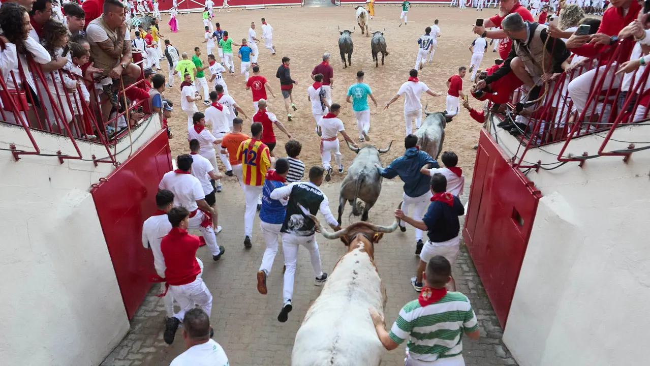 Sexto encierro de San Fermín 2025 con toros de la ganadería de José Escolar en el tramo del callejón y la entrada a la Plaza de Toros. IÑIGO ALZUGARAY