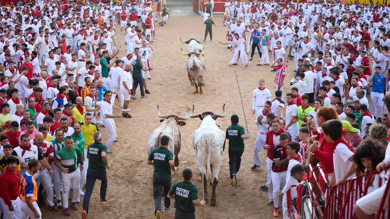 Sexto encierro de San Fermín 2025 con toros de la ganadería de José Escolar en el tramo del callejón y la entrada a la Plaza de Toros. IÑIGO ALZUGARAY