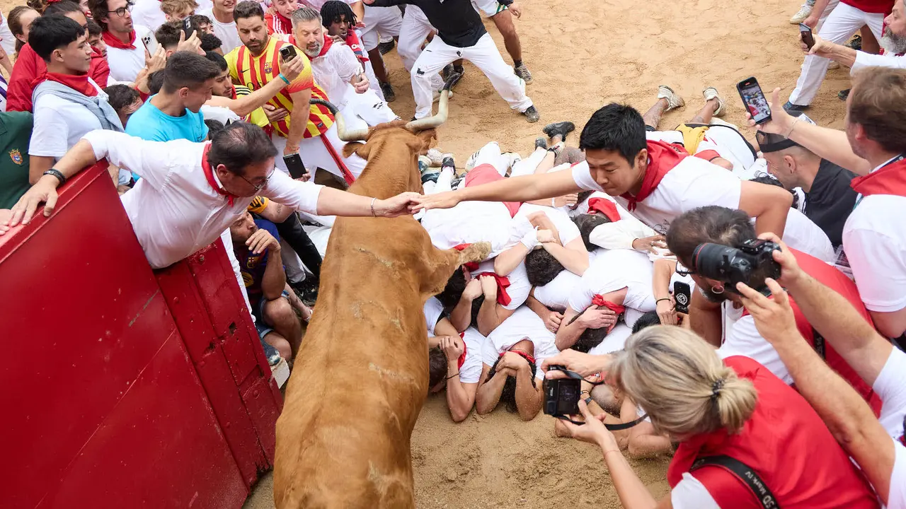 Suelta de vaquillas en la Plaza de Toros de Pamplona tras el sexto encierro de San Fermín 2025 con toros de la ganadería de José Escolar. IÑIGO ALZUGARAY