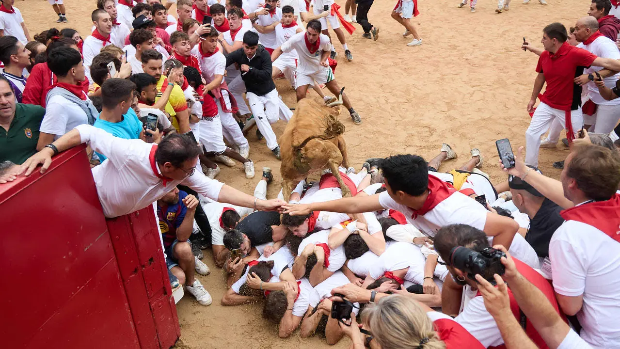 Suelta de vaquillas en la Plaza de Toros de Pamplona tras el sexto encierro de San Fermín 2025 con toros de la ganadería de José Escolar. IÑIGO ALZUGARAY