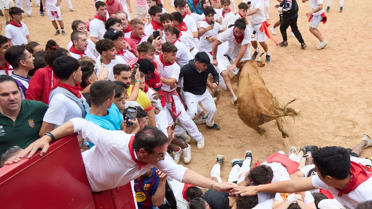 Suelta de vaquillas en la Plaza de Toros de Pamplona tras el sexto encierro de San Fermín 2025 con toros de la ganadería de José Escolar. IÑIGO ALZUGARAY
