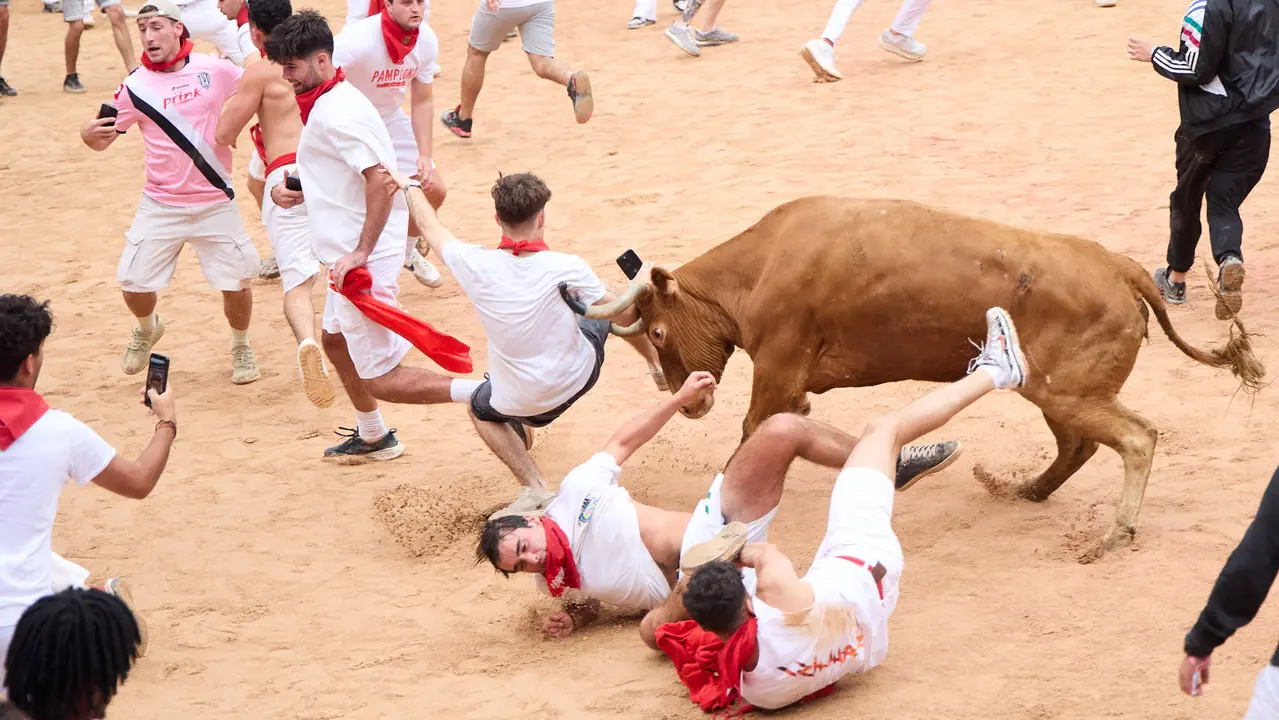 Suelta de vaquillas en la Plaza de Toros de Pamplona tras el sexto encierro de San Fermín 2025 con toros de la ganadería de José Escolar. IÑIGO ALZUGARAY