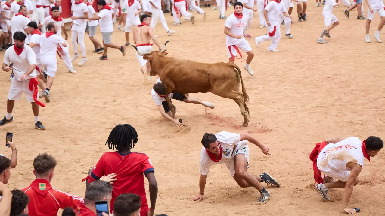Suelta de vaquillas en la Plaza de Toros de Pamplona tras el sexto encierro de San Fermín 2025 con toros de la ganadería de José Escolar. IÑIGO ALZUGARAY