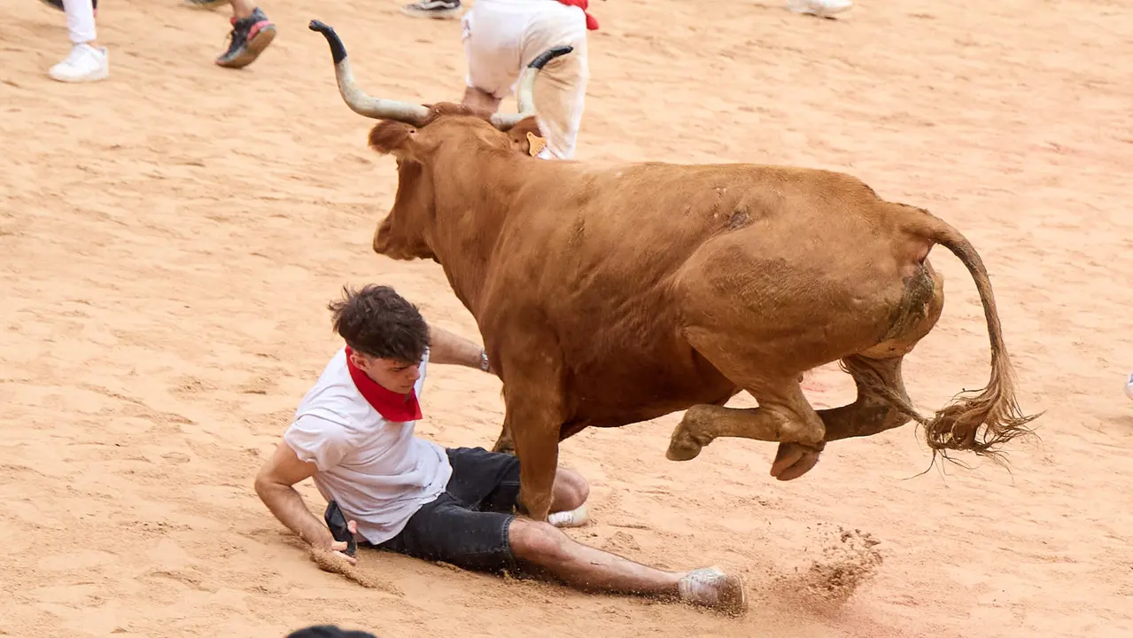 Suelta de vaquillas en la Plaza de Toros de Pamplona tras el sexto encierro de San Fermín 2025 con toros de la ganadería de José Escolar. IÑIGO ALZUGARAY
