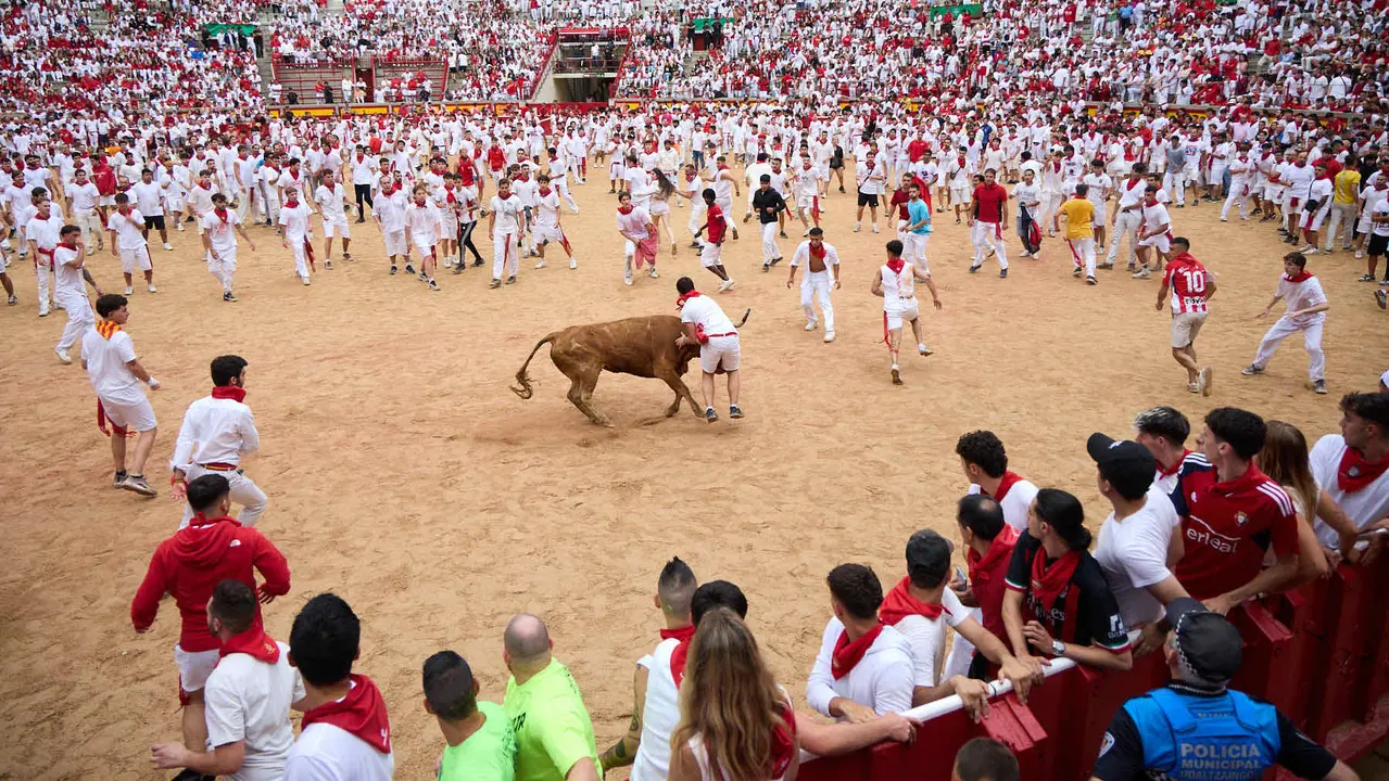 Suelta de vaquillas en la Plaza de Toros de Pamplona tras el sexto encierro de San Fermín 2025 con toros de la ganadería de José Escolar. IÑIGO ALZUGARAY