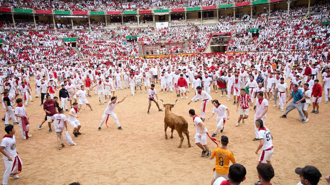 Suelta de vaquillas en la Plaza de Toros de Pamplona tras el sexto encierro de San Fermín 2025 con toros de la ganadería de José Escolar. IÑIGO ALZUGARAY
