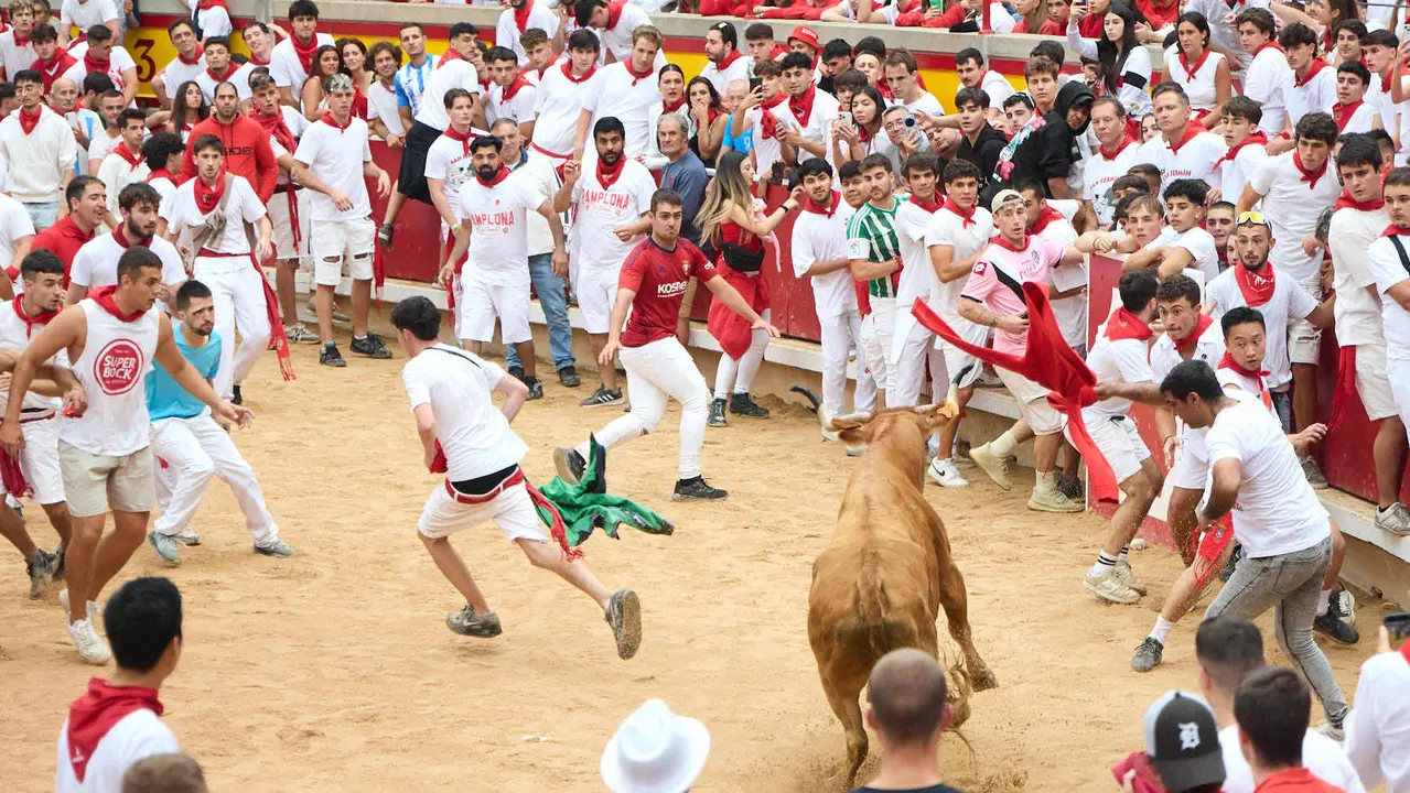 Suelta de vaquillas en la Plaza de Toros de Pamplona tras el sexto encierro de San Fermín 2025 con toros de la ganadería de José Escolar. IÑIGO ALZUGARAY