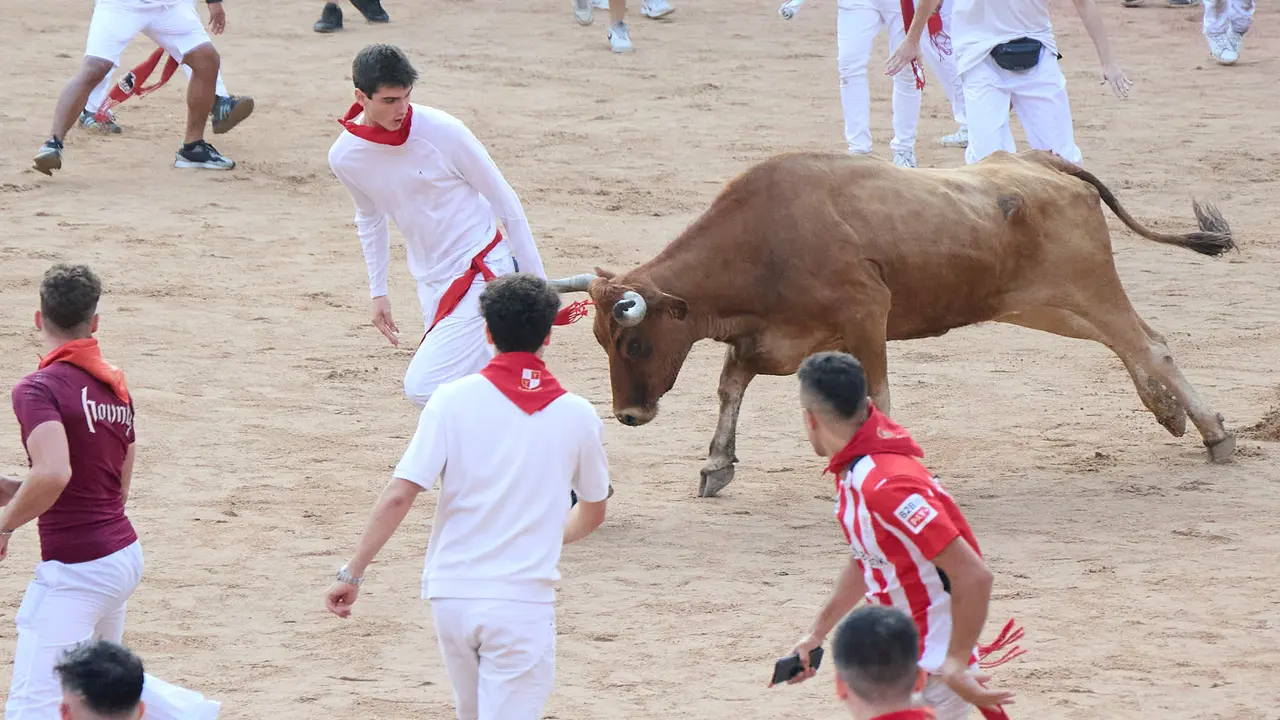 Suelta de vaquillas en la Plaza de Toros de Pamplona tras el sexto encierro de San Fermín 2025 con toros de la ganadería de José Escolar. IÑIGO ALZUGARAY