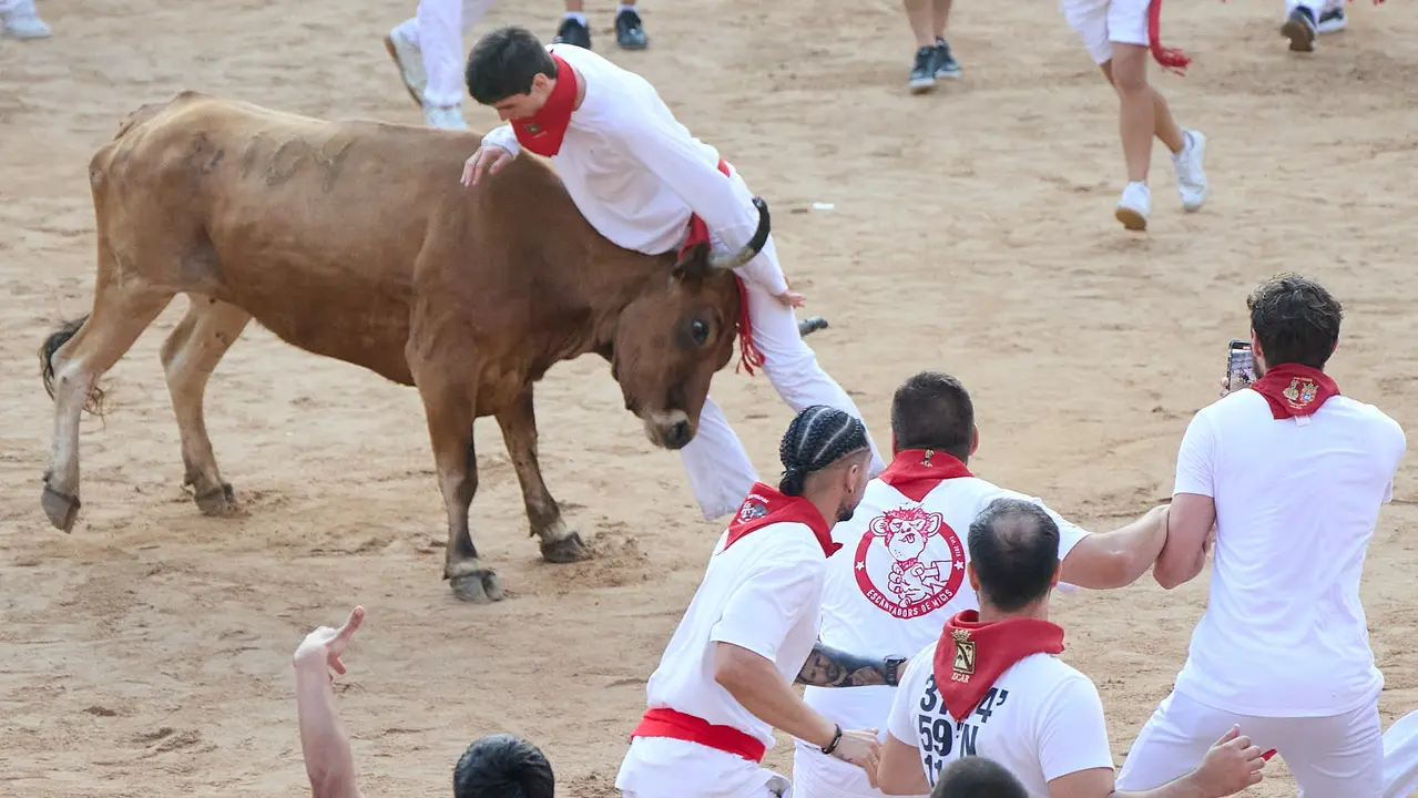 Suelta de vaquillas en la Plaza de Toros de Pamplona tras el sexto encierro de San Fermín 2025 con toros de la ganadería de José Escolar. IÑIGO ALZUGARAY