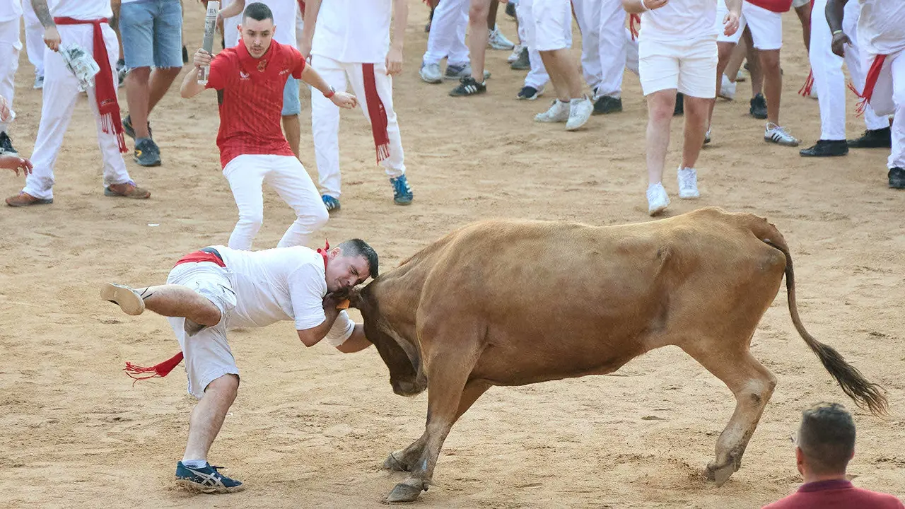 Suelta de vaquillas en la Plaza de Toros de Pamplona tras el sexto encierro de San Fermín 2025 con toros de la ganadería de José Escolar. IÑIGO ALZUGARAY