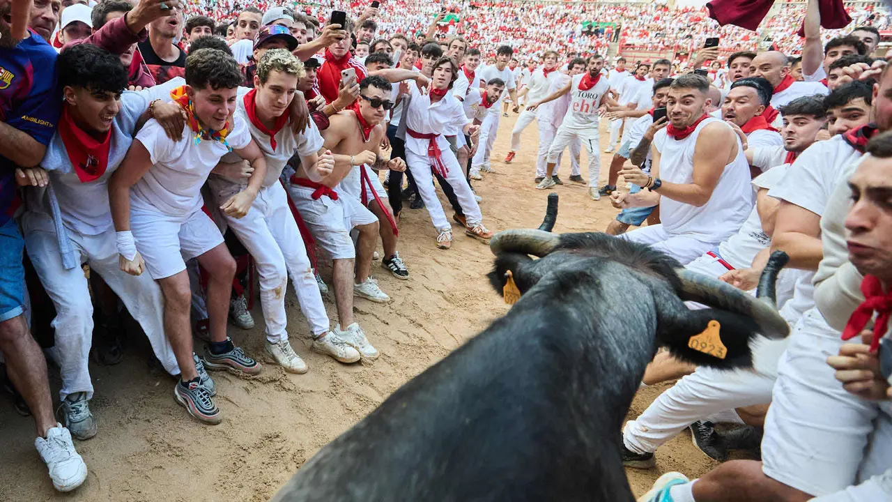 Suelta de vaquillas en la Plaza de Toros de Pamplona tras el sexto encierro de San Fermín 2025 con toros de la ganadería de José Escolar. IÑIGO ALZUGARAY