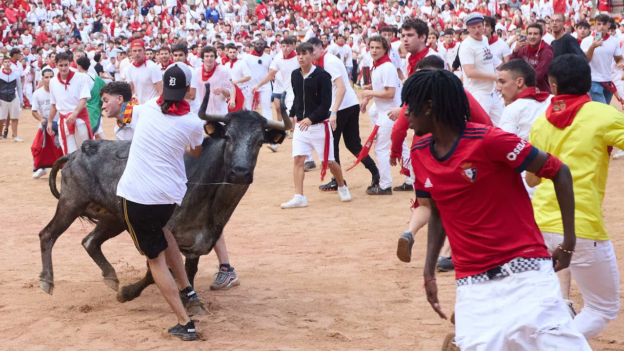 Suelta de vaquillas en la Plaza de Toros de Pamplona tras el sexto encierro de San Fermín 2025 con toros de la ganadería de José Escolar. IÑIGO ALZUGARAY