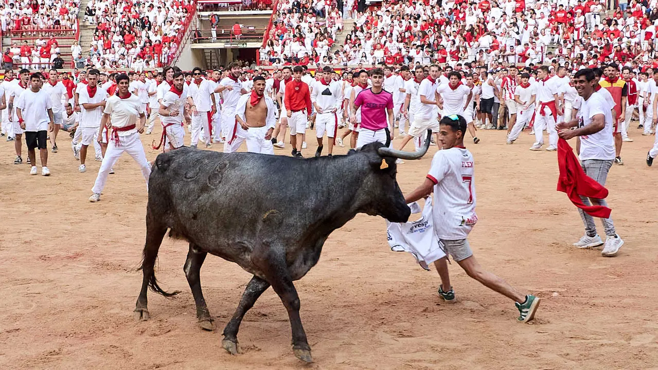 Suelta de vaquillas en la Plaza de Toros de Pamplona tras el sexto encierro de San Fermín 2025 con toros de la ganadería de José Escolar. IÑIGO ALZUGARAY