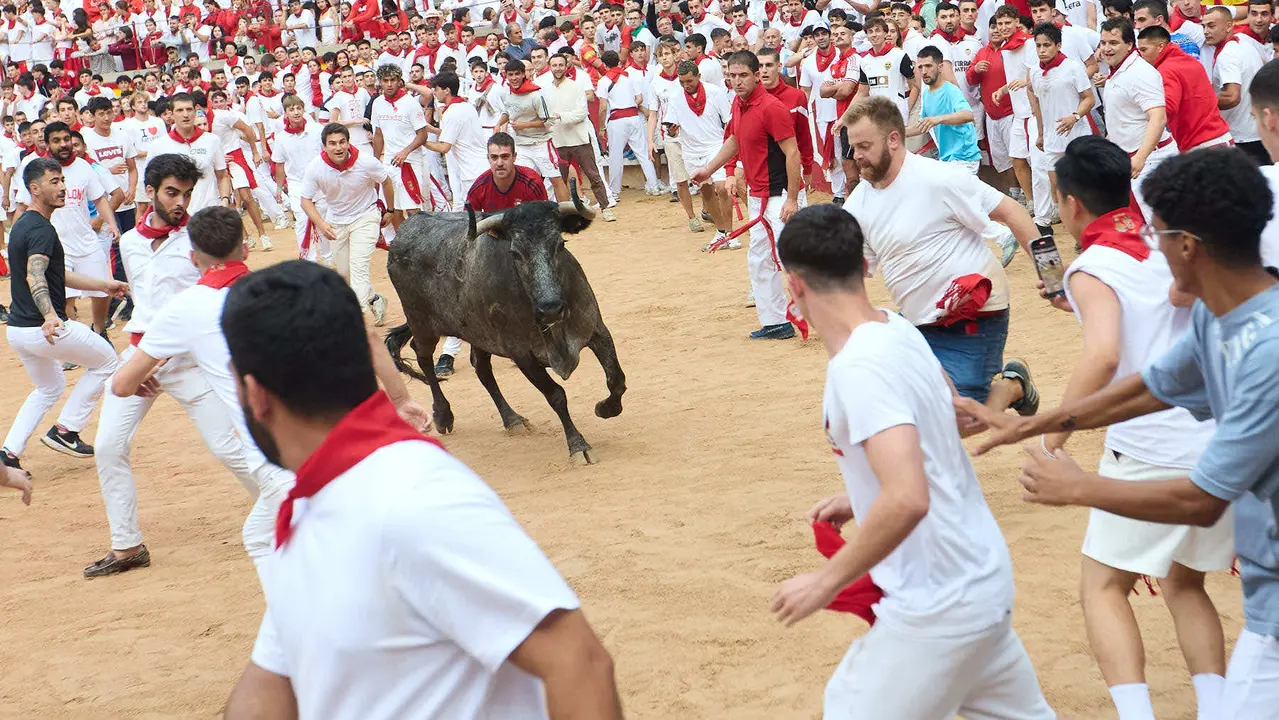 Suelta de vaquillas en la Plaza de Toros de Pamplona tras el sexto encierro de San Fermín 2025 con toros de la ganadería de José Escolar. IÑIGO ALZUGARAY